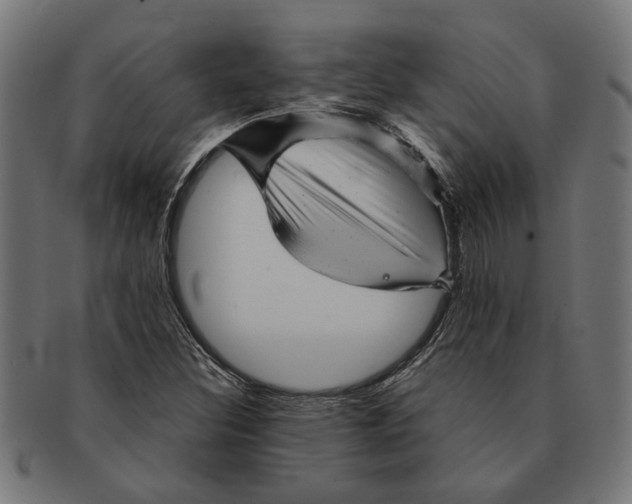 X0000091231308200709061511