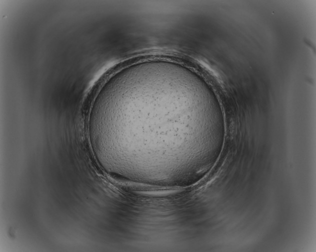 X0000091231310200709061511