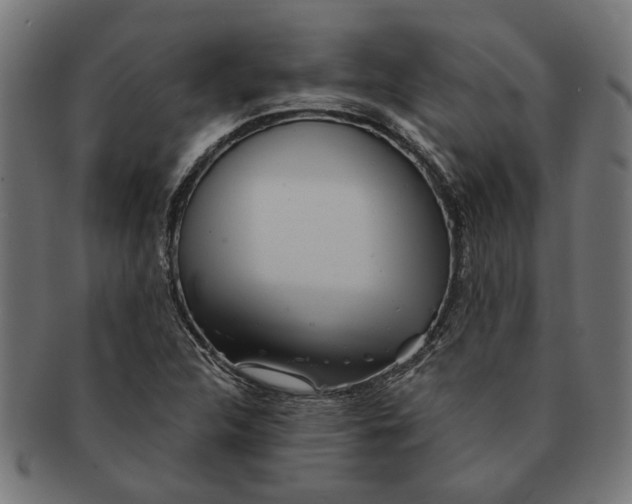 X0000091231312200709061511