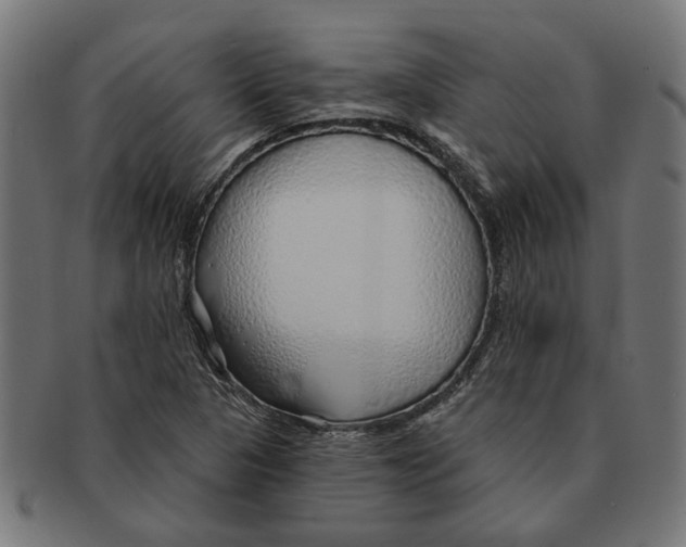 X0000091231313200709061511