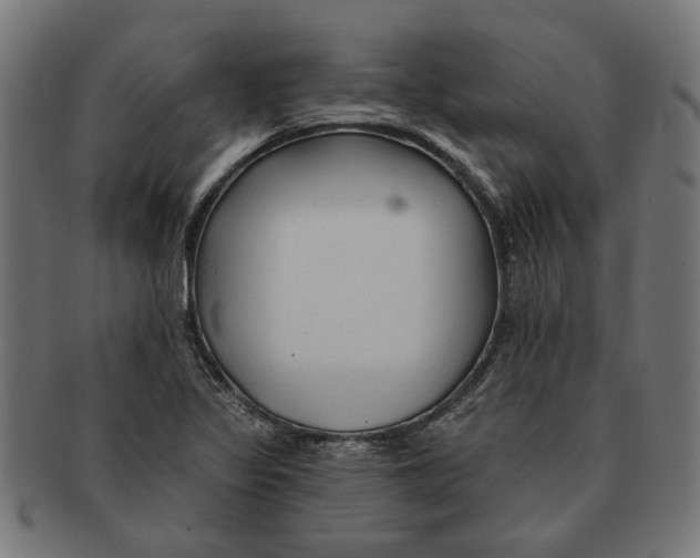 X0000091231317200709061511
