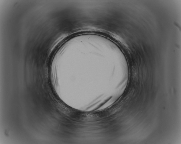 X0000091231318200709061511