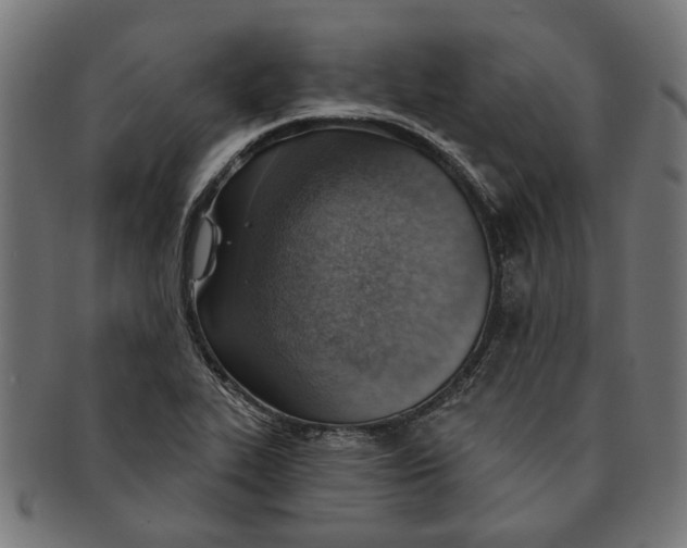 X0000091231319200709061511