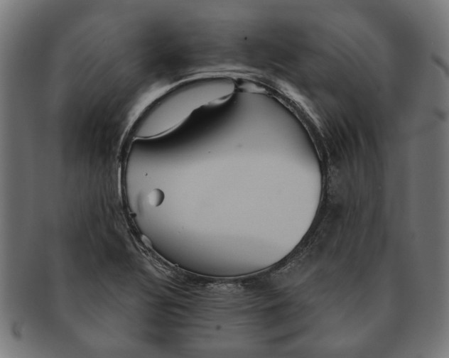 X0000091231320200709061511