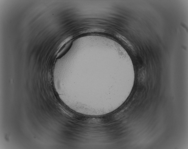 X0000091231321200709061511