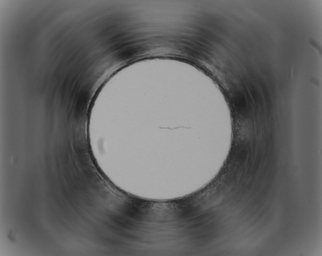 X0000091231322200709061511