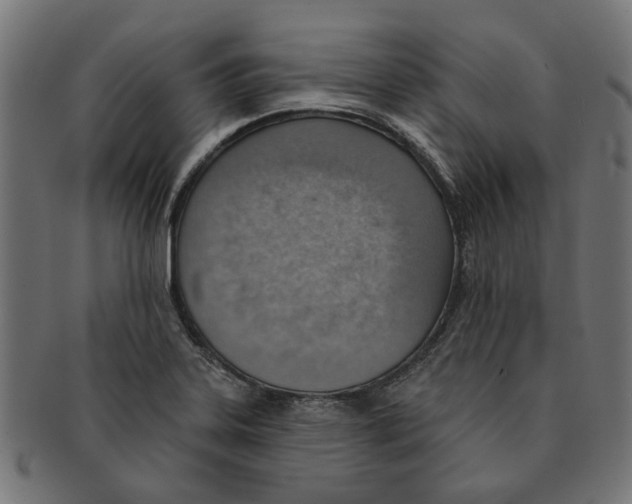 X0000091231323200709061511