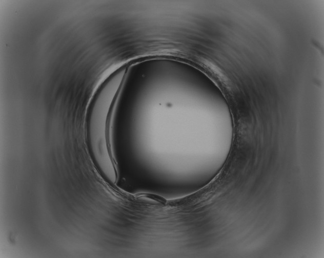 X0000091231324200709061511
