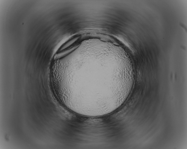 X0000091231325200709061511