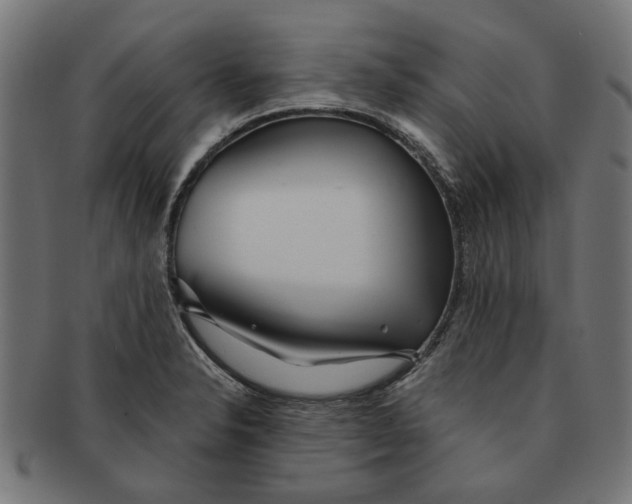 X0000091231326200709061511