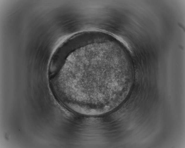 X0000091231327200709061511