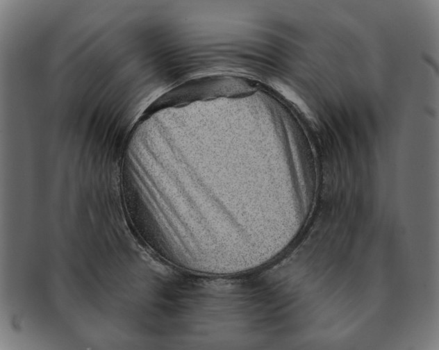 X0000091231329200709061511
