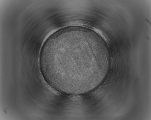 X0000091231331200709061511