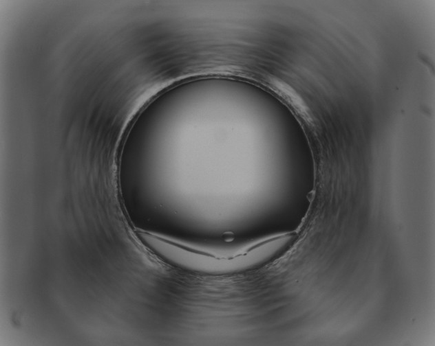 X0000091231332200709061511