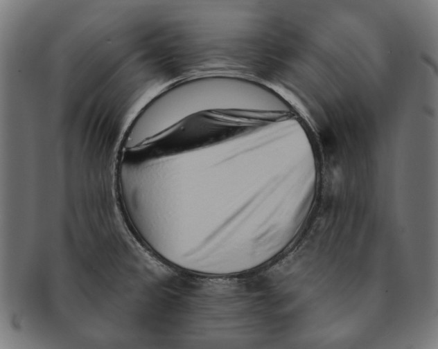 X0000091231333200709061511