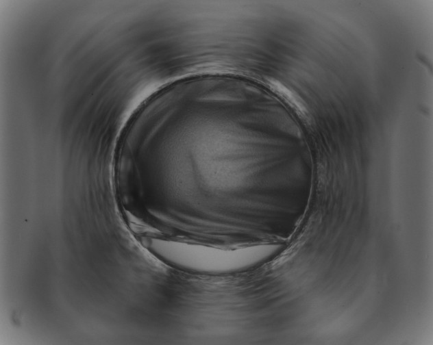 X0000091231334200709061511
