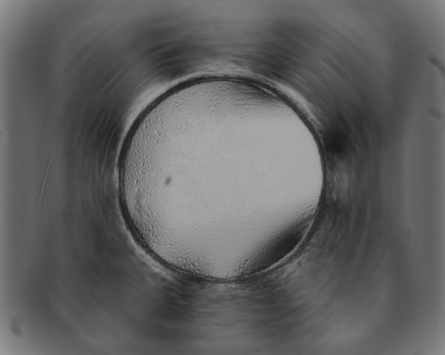 X0000091231335200709061511