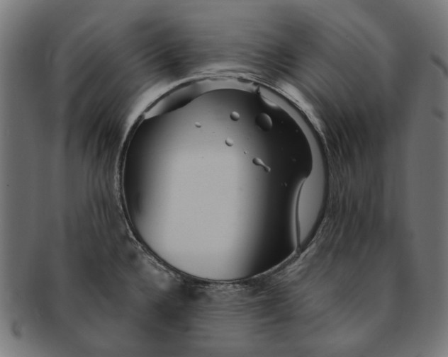 X0000091231336200709061511