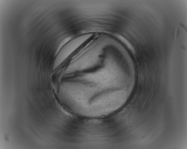 X0000091231337200709061511