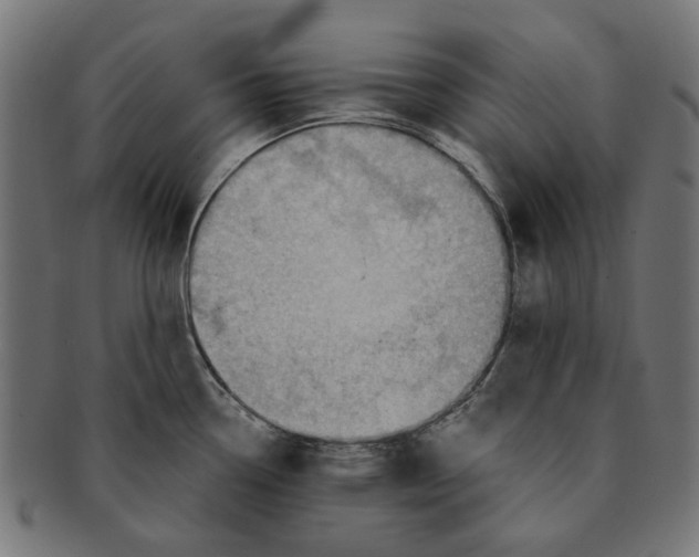 X0000091231338200709061511
