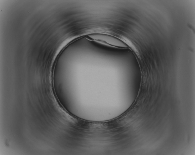 X0000091231339200709061511