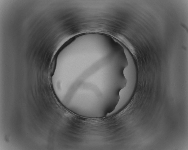 X0000091231340200709061511