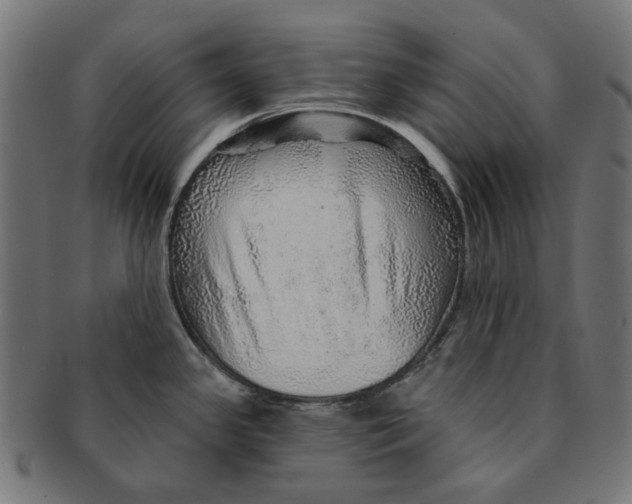 X0000091231341200709061511