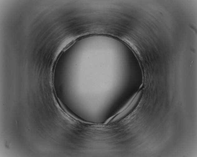 X0000091231342200709061511