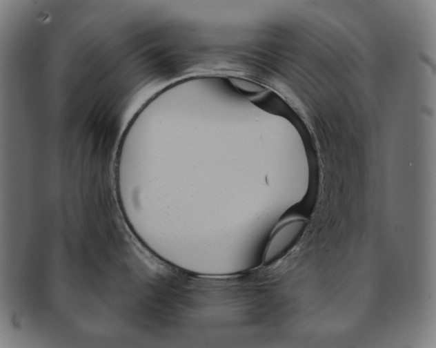 X0000091231344200709061511