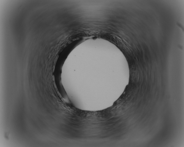 X0000091231345200709061511