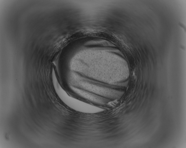 X0000091231348200709061511