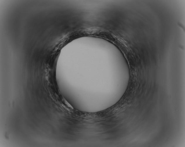 X0000091231349200709061511