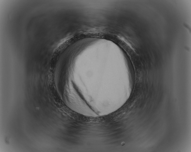 X0000091231350200709061511