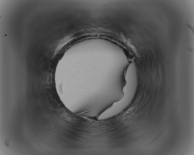 X0000091231352200709061511