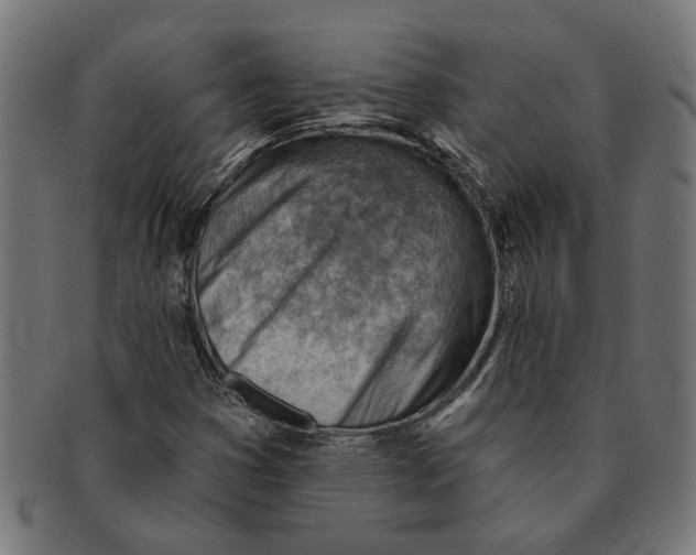 X0000091231353200709061511