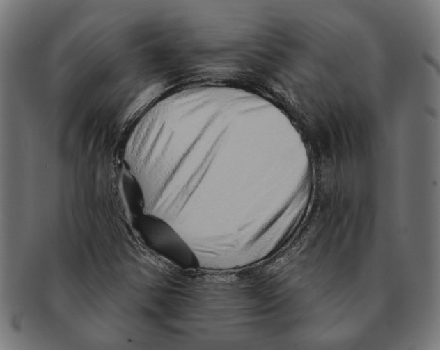 X0000091231354200709061511