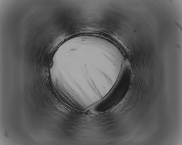 X0000091231355200709061511