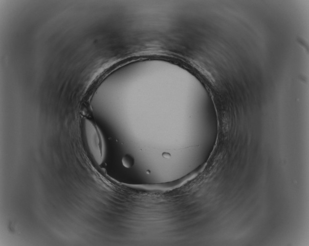 X0000091231356200709061511