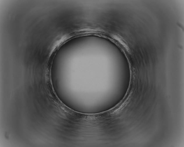 X0000091231357200709061511