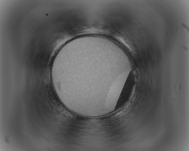 X0000091231358200709061511
