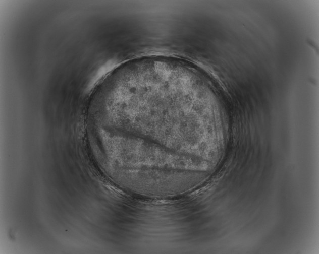 X0000091231359200709061511