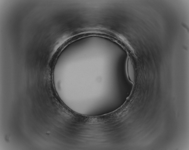 X0000091231360200709061511