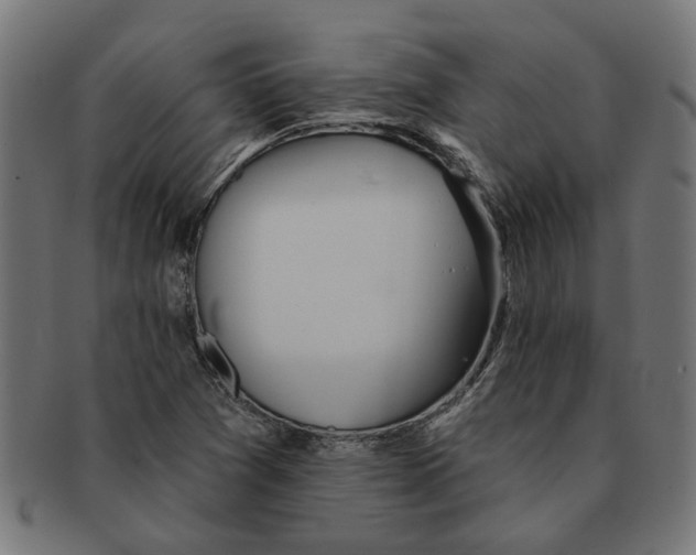 X0000091231361200709061511