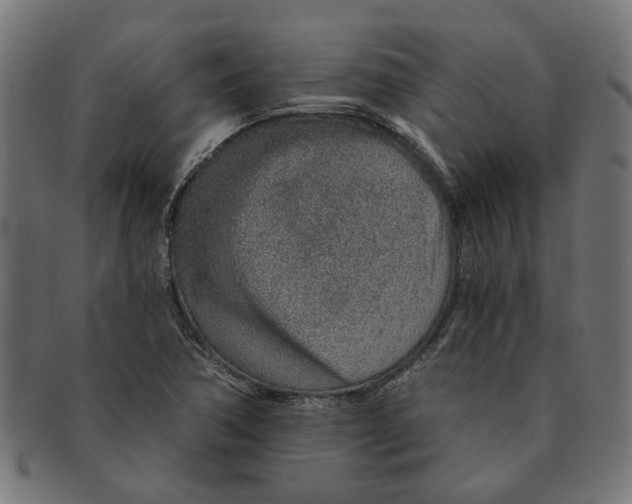X0000091231362200709061511