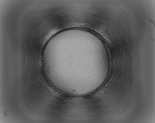 X0000091231363200709061511