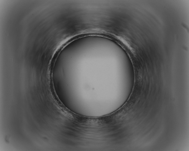 X0000091231364200709061511