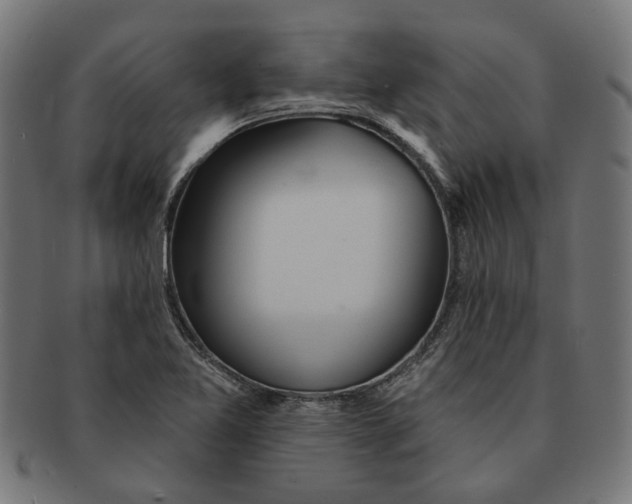 X0000091231365200709061511