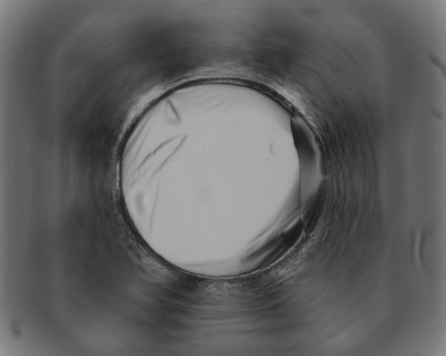 X0000091231366200709061511