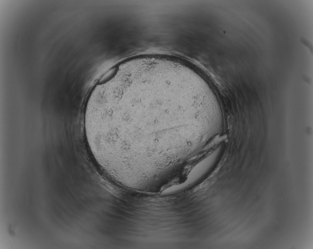 X0000091231367200709061511