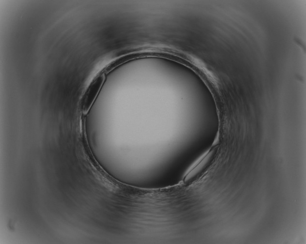 X0000091231368200709061511